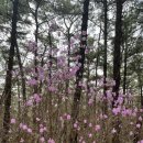 [등산/수원,용인] 서울근교 등린이 추천산 광교산 형제봉 등산코스 ㅣ소요시간ㅣ주차 정보