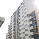 산호공인중개사사무소 이미지