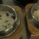 솥밥식당 이미지