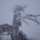 기를품은 이미지