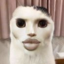 아이러브유