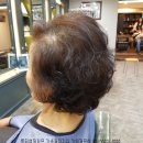 중년 여성 부터 할머니들의 짧은머리 파마 헤어스타일 이미지