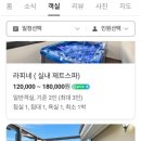 쁘띠까도 네이버블로그