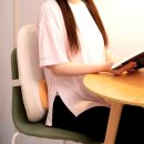 3011 | 릴렉스조이 온돌이 등쿠션 마사지기 RJ -BC3011 무선 사용후기: 집에서 누리는 편안한 온열 마사지