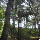 삼태농장 이미지