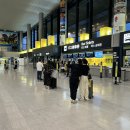 STAY29 | 아코르 Stay Plus 사용기 – Mercure Tokyo Haneda Airport 실제 투숙 후기