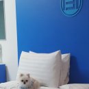 스튜디오131호텔 이미지