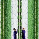 나우농장 이미지