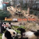 루이농장 이미지