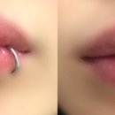 비바이비바이비 이미지