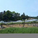 전원락농장 이미지