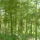 사계절식육점 - 진도군 | 사계절식육점