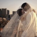 피아제이 - 청주시 흥덕구 오송생명12로 30 | 피아제이