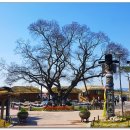 화원유원지 이미지