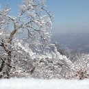 에덴병원 이미지