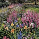 아침향기 이미지