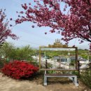 새천년 6단지 삼거리 6단지쪽 | 경주 보문 단지 맛집 한정식 오리불고기 부모님 모시고 가기 좋은 나현 생오리