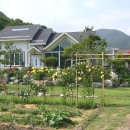 세곡-115 이미지