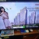 LG TV 팝니다 [판매완료] 이미지