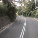 쿠지 홀리데이 이미지