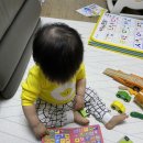 [생후496일] 엄마표 브레인나우 한글 한달 반/영어 한달 활용 후기 (13개월 중반 ~ 15개월)(수정중)