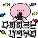 동해양꼬치 이미지
