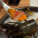 한빛건강원 | 김해맛집 내외동맛집 스시 오마카세 도도일식