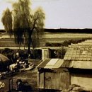 햇살로105번길 이미지