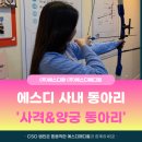 에스디메디칼 | [에스디팜·에스디메디컬] 에스디 사내동아리 #19 사격 동아리 3번째 활동🔫