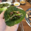 꼴통막창 - 안성시 | 꼴통막창