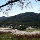 청룡목장 이미지