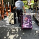 티리조트1 | 호이안 알마니티리조트 숙소 수영장 조식 1박 후기