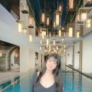 마스터스통상주 | 조선팰리스 서울 강남 호캉스하며 수영장 & 사우나 뿌시기