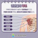 약수부부한의원 이미지