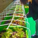 도봉농장 이미지