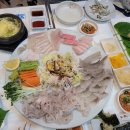 회포차마라도