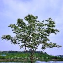 모산골방죽 이미지