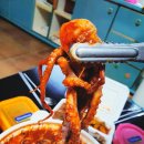 용하해물찜 이미지