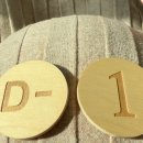 멍멍이를 부탁해 | 2025 엘림이가 세상에 왔다!!(38주 1일) _ 강릉 아산 제왕절개 5박 6일