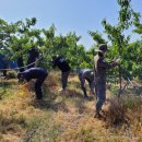 양강면사무소 이미지