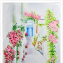 바다가 보이는 풍경 이미지