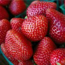 웰빙나라 이미지