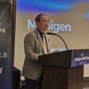 그래피오