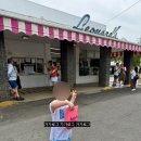 할리농장 | ”엄마, Recess Time 몰라?“ 갑자기 영어를 쏟아내는 아들을 지켜보면서..