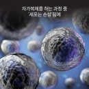 NR-3[진주대로]-상-72 | 케어셀라 T &amp; 제너럴밸런스 T #노벨의학상 #노화방지 #텔로미어 #3월말 #신제품출시 #케어셀라T #국내...