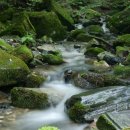 지혜의샘 이미지