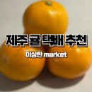 이상한마켓 | 당도 높은 제주감귤택배 노지 타이백 감귤 로얄과 이상한마켓 후기