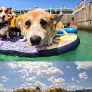 남매펜션 이미지