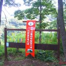 완월동147 이미지