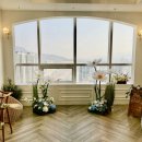 데이지플라워 | 돌잔치 포토존 설치 후기 레터링풍선 &amp; 데이지 자이언트플라워